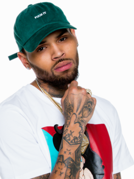 Chris Brown`s Net Worth 2021 – Personal Life and Career