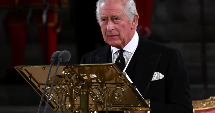 Watch: King Charles "Feels Weight Of History" In First Parliament Speech