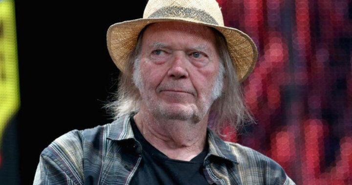 Neil Young Net Worth