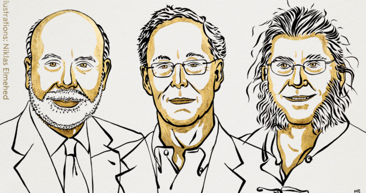 3 US-based economists given Nobel Prize for work on banks