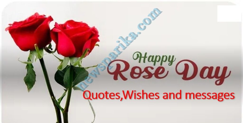 Rose Day quotes,Wishes and messages