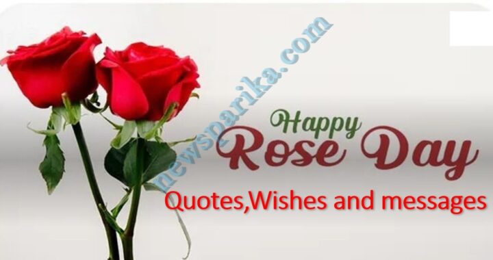 Rose Day quotes,Wishes and messages